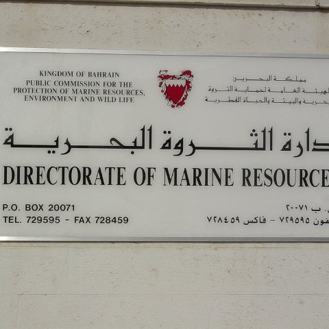 DSC03250 DSC03250