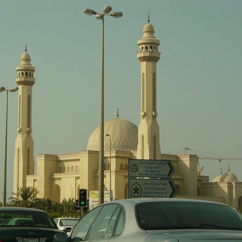DSC03253 DSC03253
