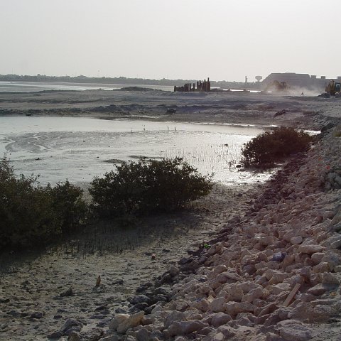 DSC03265 DSC03265