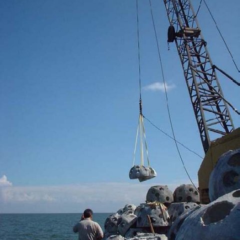 image10 image10