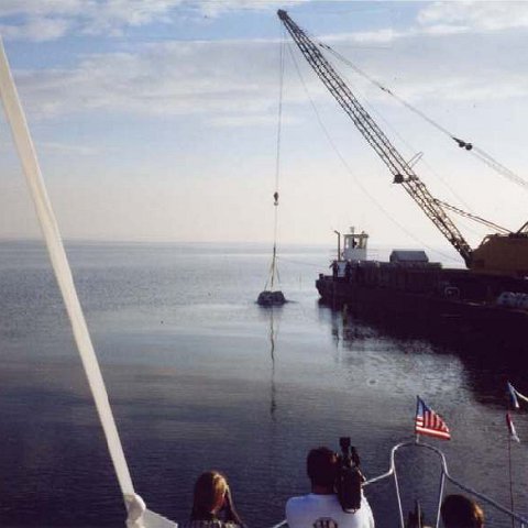 image11 image11