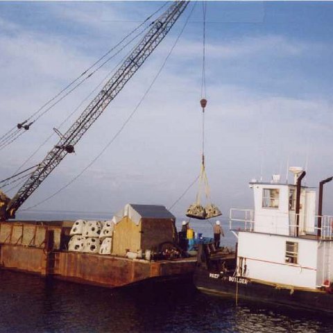 image12 image12