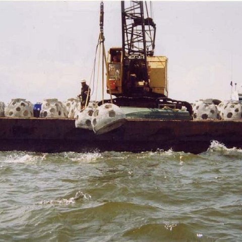 image8 image8