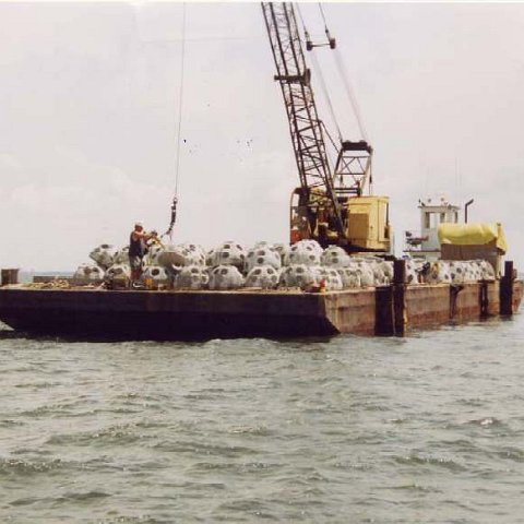 image9 image9