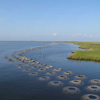 tetratechlivngshoreline tetratechlivngshoreline