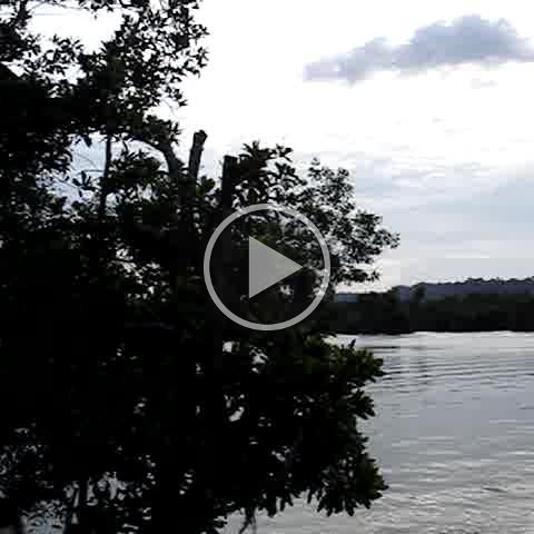 MOV02560 MOV02560