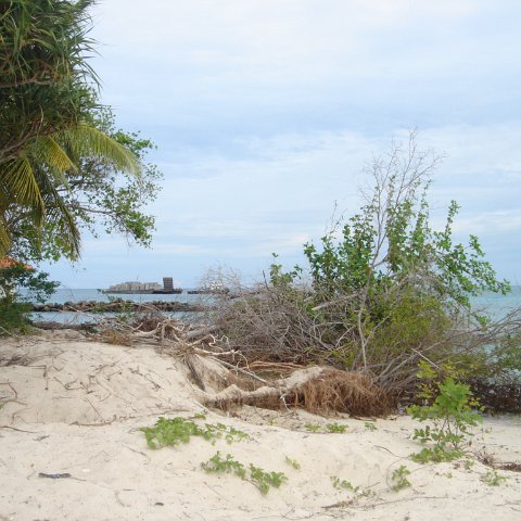 DSC00742 DSC00742