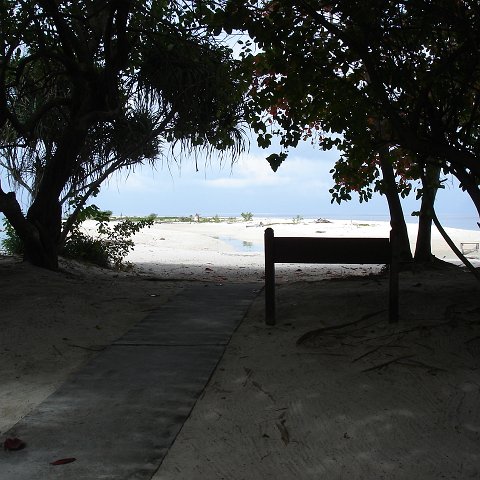 trip to Selinga (43) trip to Selinga (43)