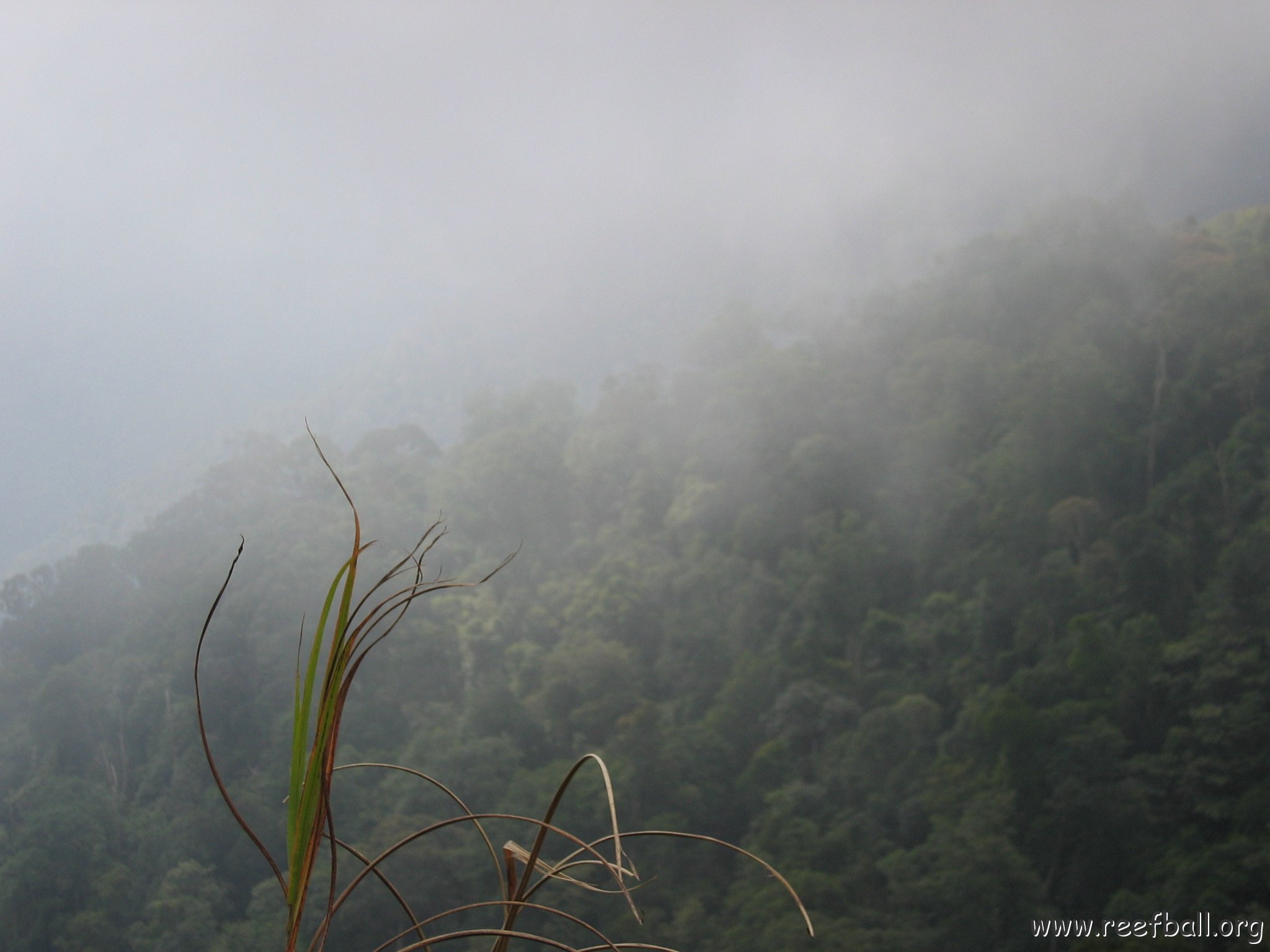 Harrys-Sandakan to KK (23)