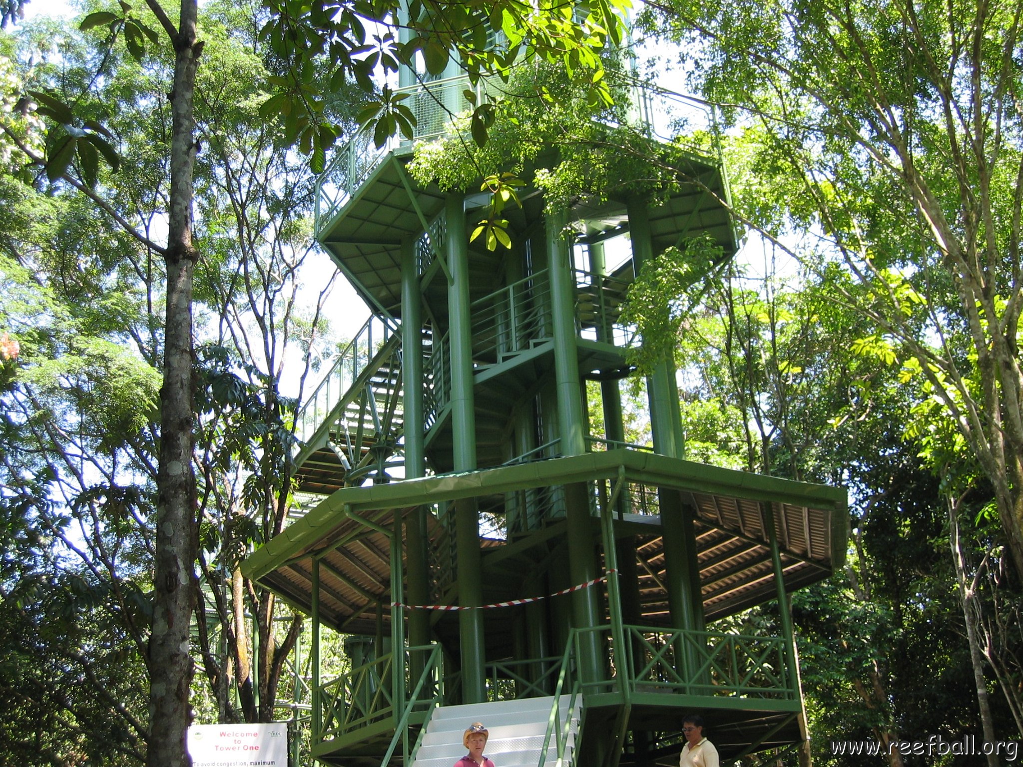 Harrys-rainforest center (10)