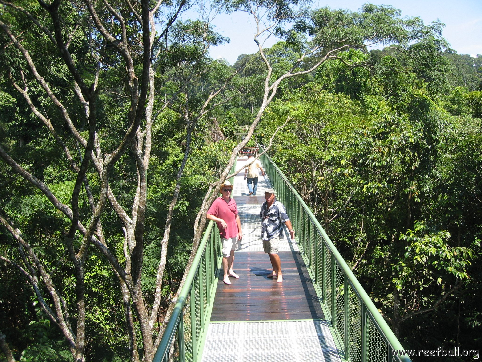 Harrys-rainforest center (11)