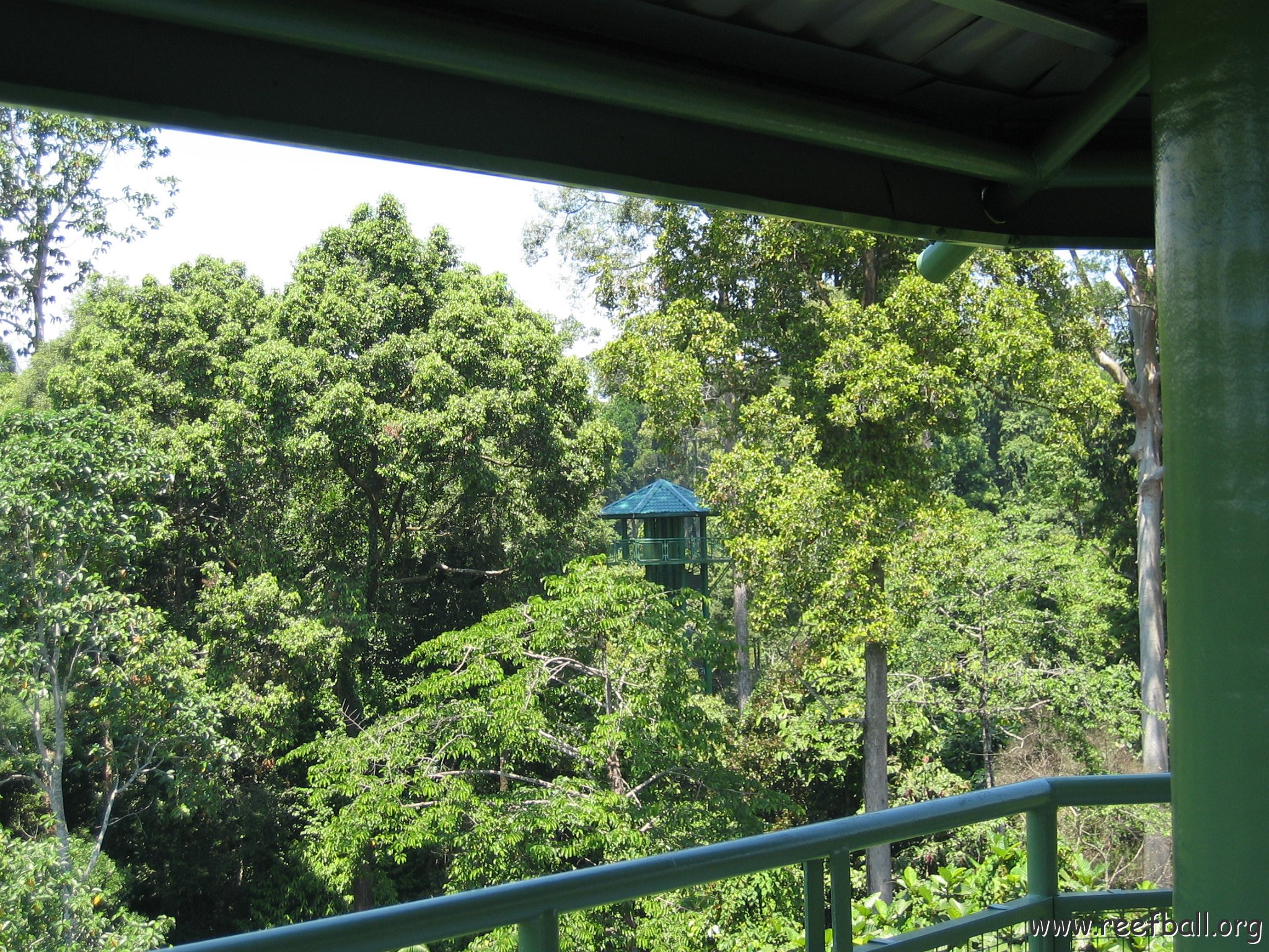 Harrys-rainforest center (20)