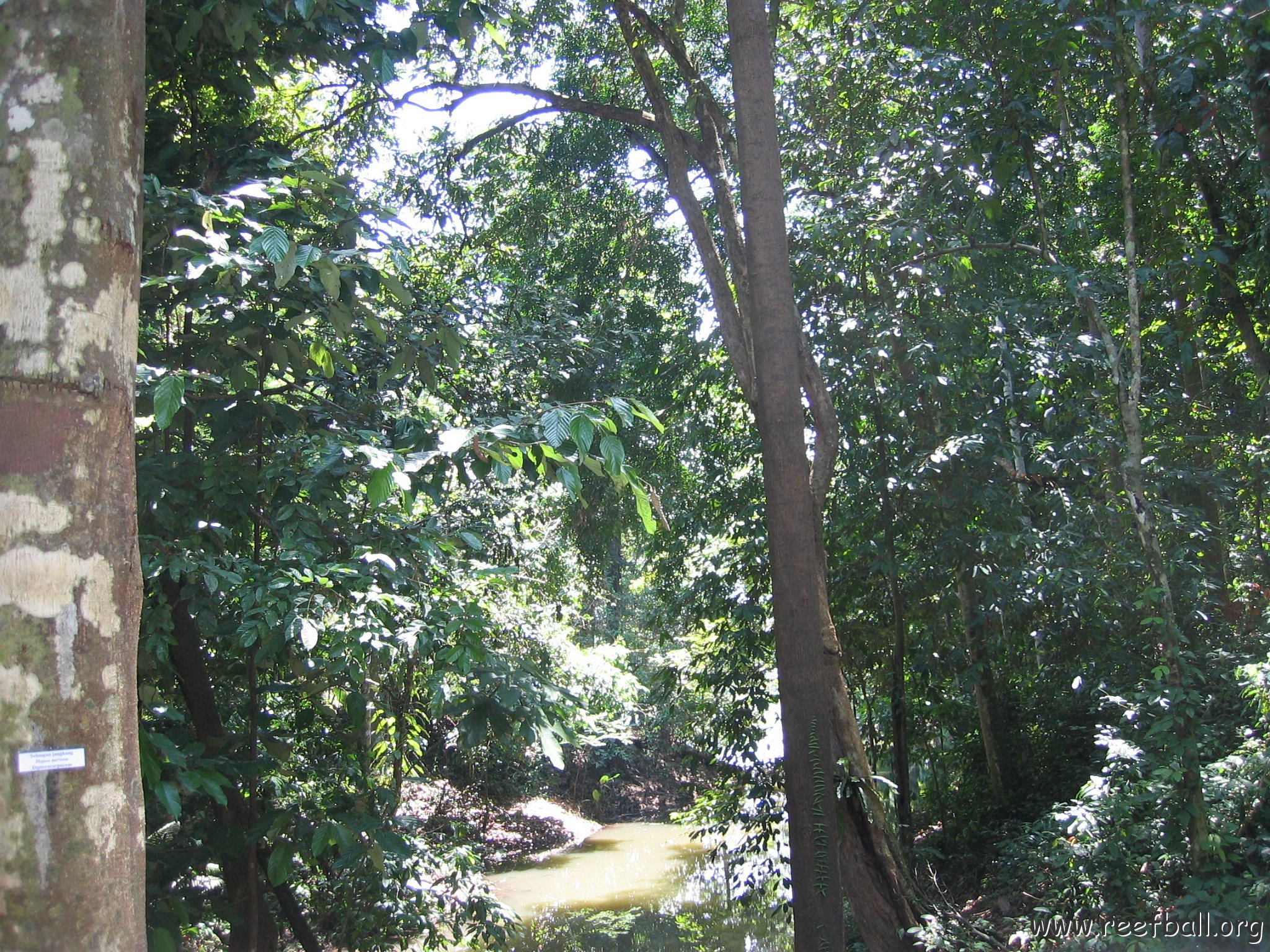 Harrys-rainforest center (43)