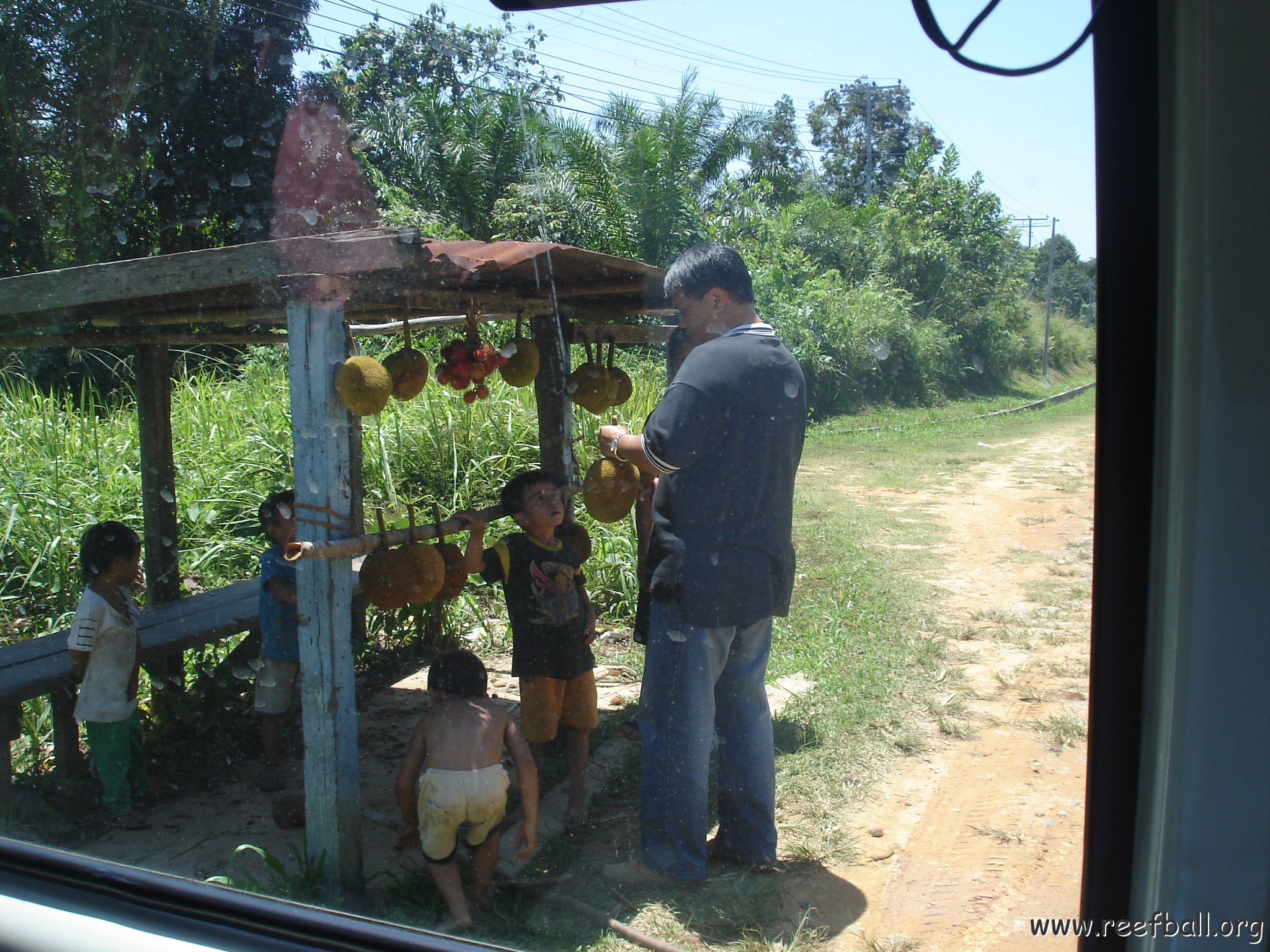 Road trip Sandakan - Kota Kinabalu (111)