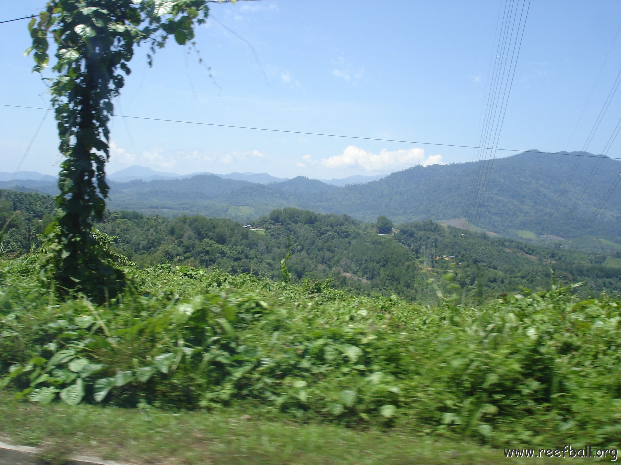 Road trip Sandakan - Kota Kinabalu (119)