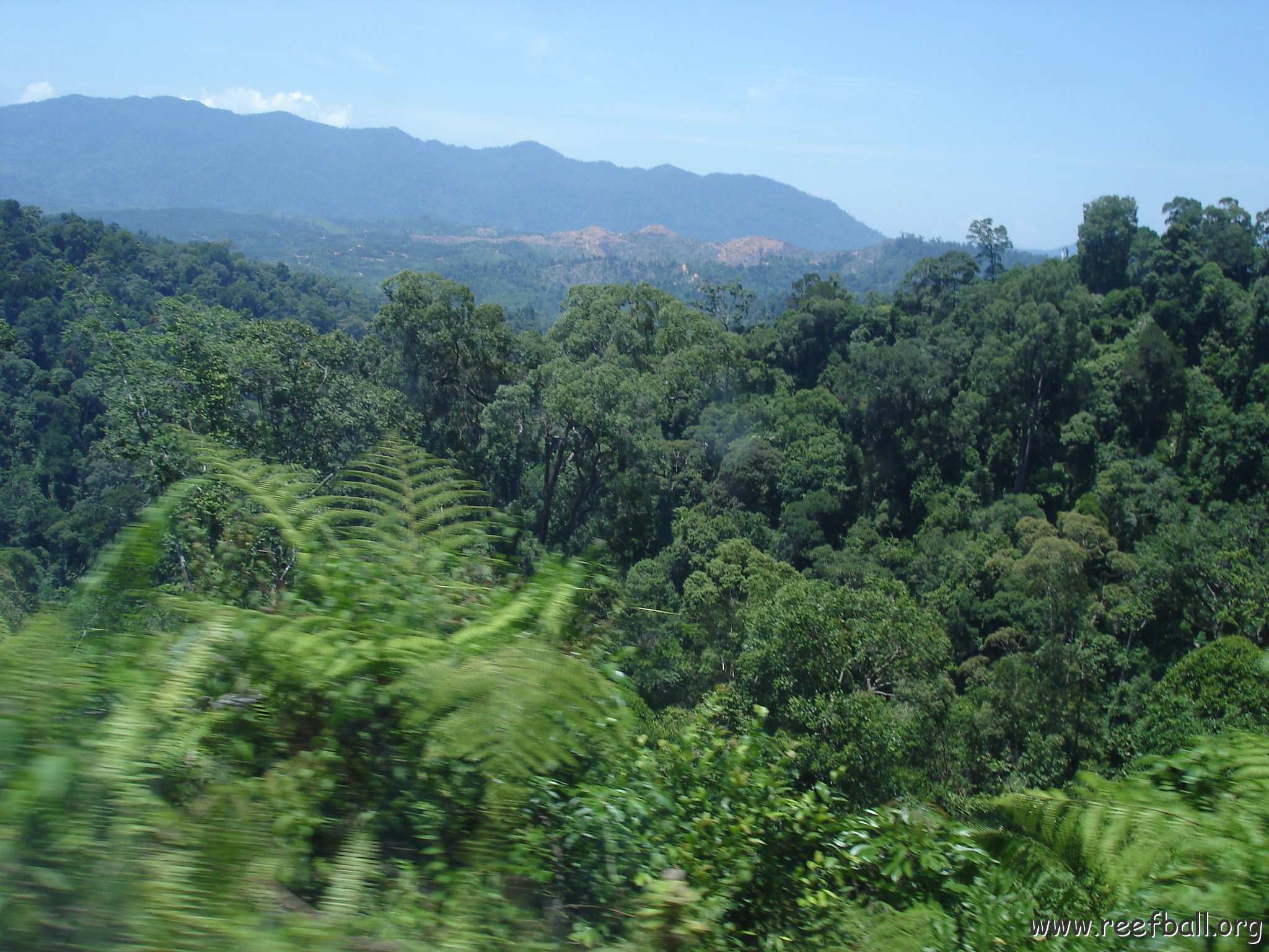 Road trip Sandakan - Kota Kinabalu (147)