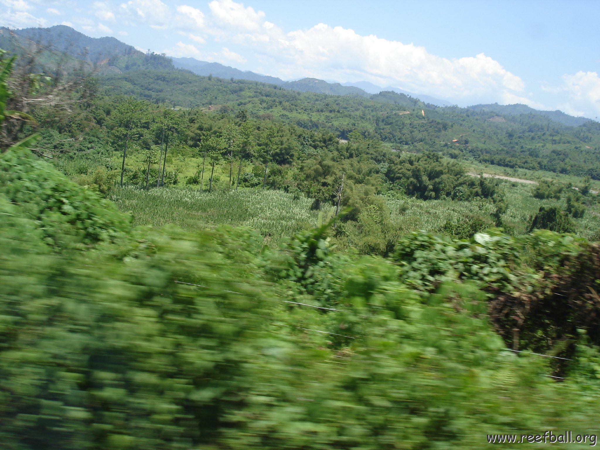 Road trip Sandakan - Kota Kinabalu (191)