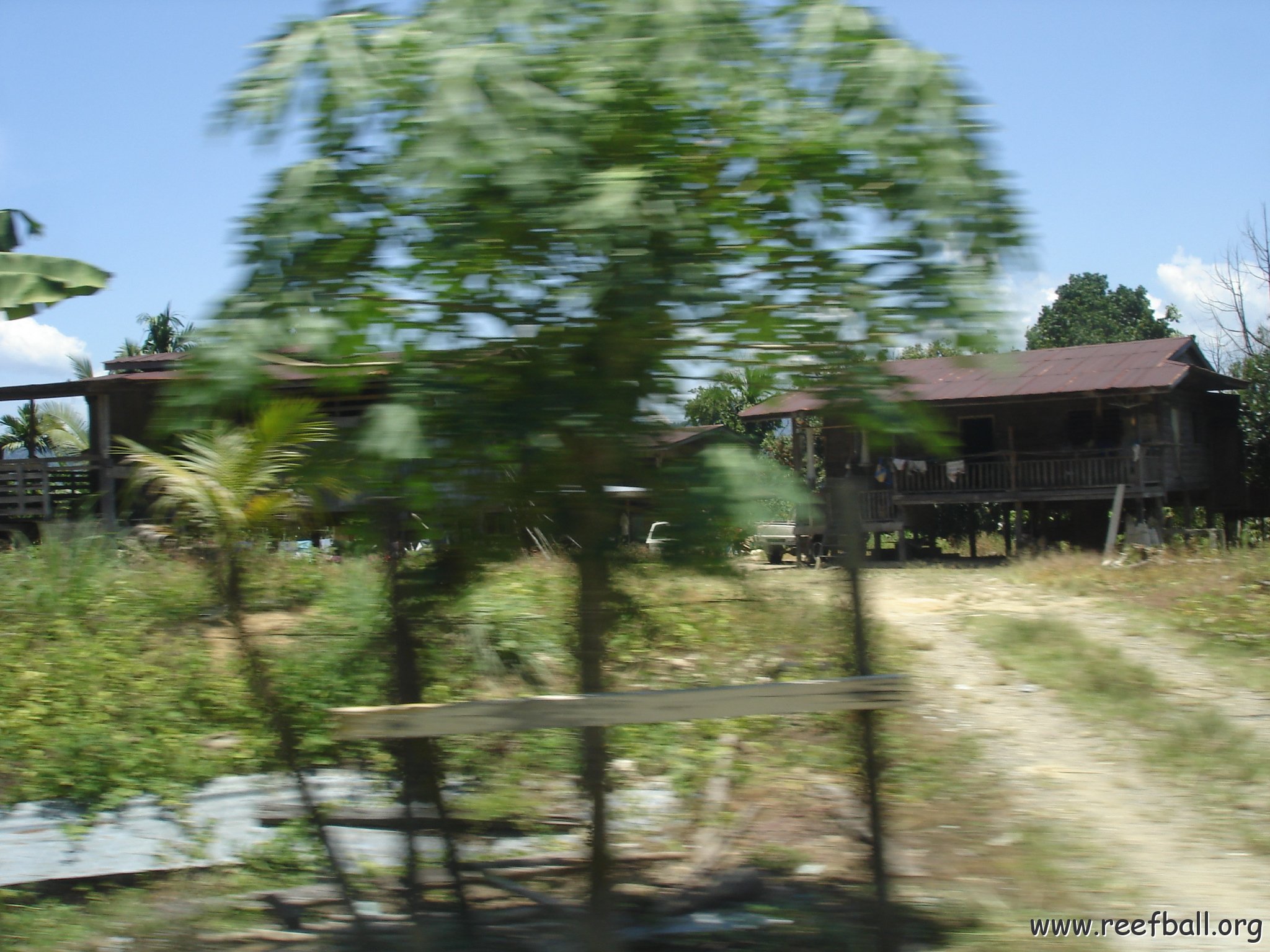 Road trip Sandakan - Kota Kinabalu (195)