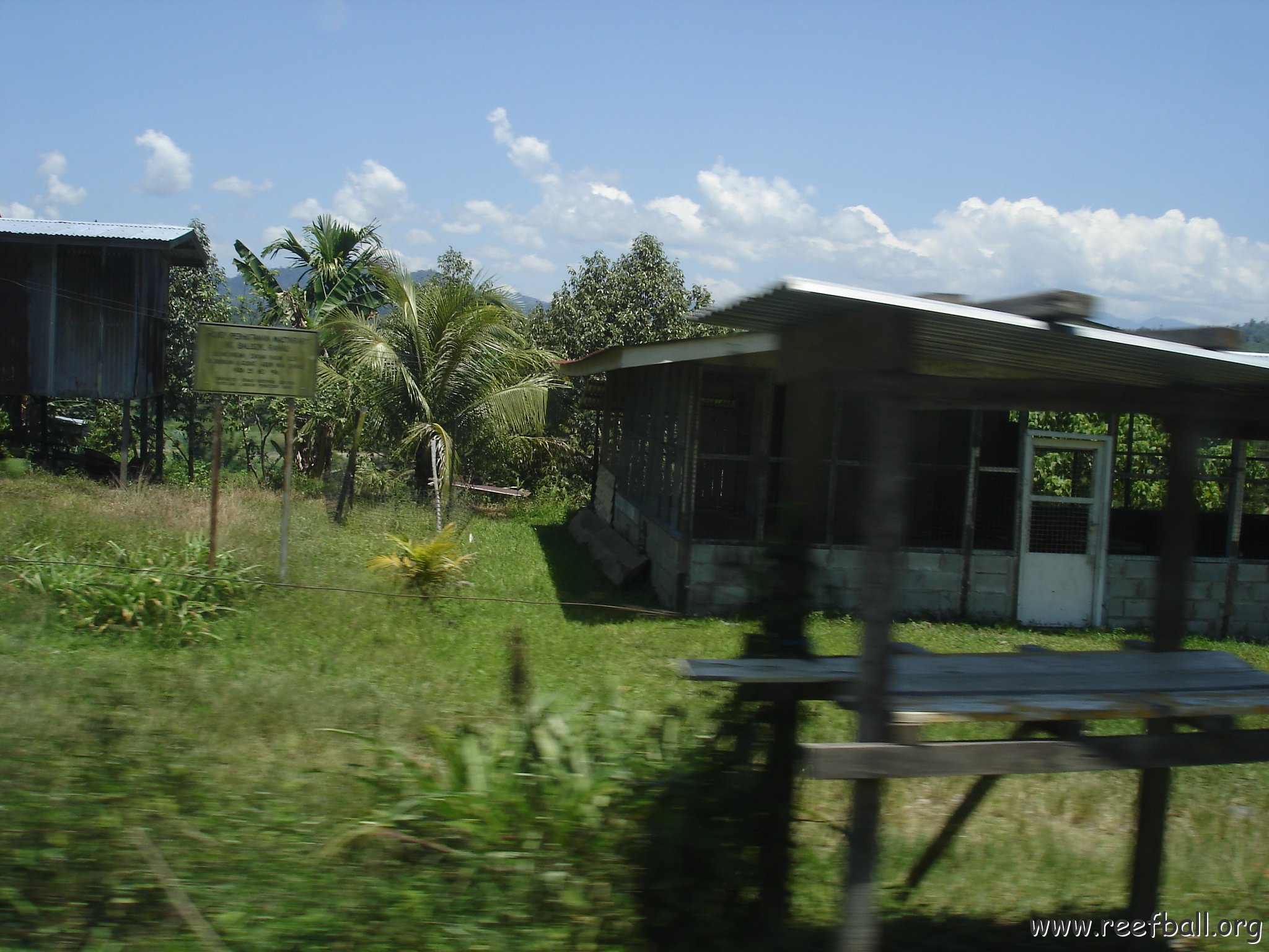 Road trip Sandakan - Kota Kinabalu (196)