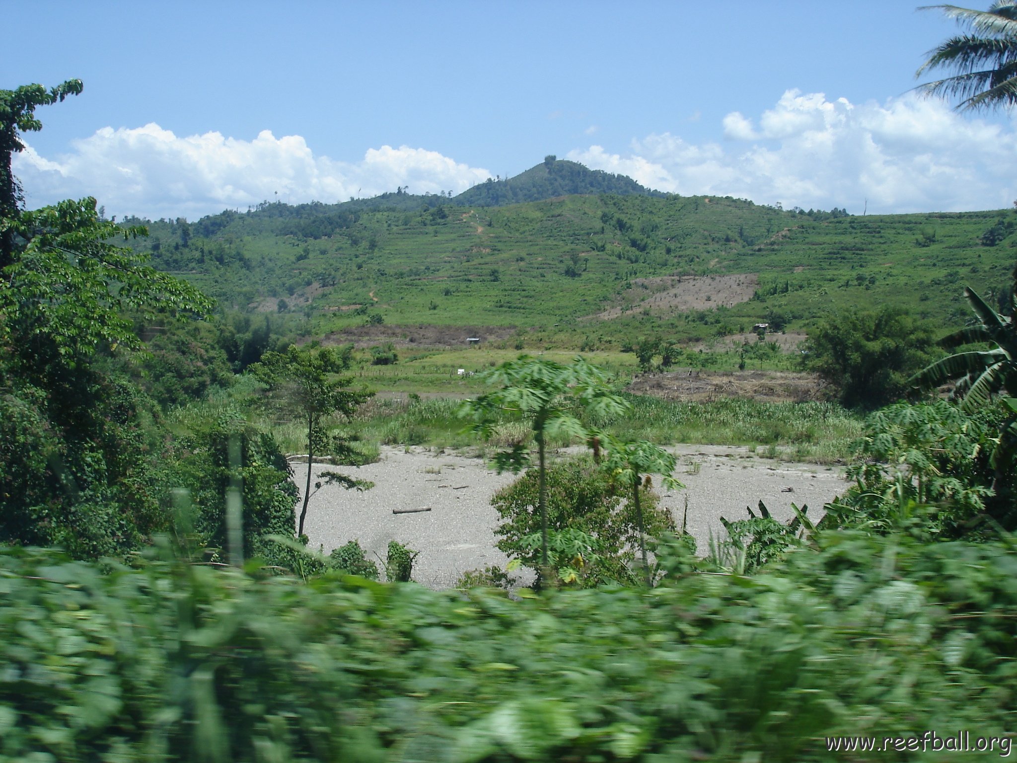 Road trip Sandakan - Kota Kinabalu (199)