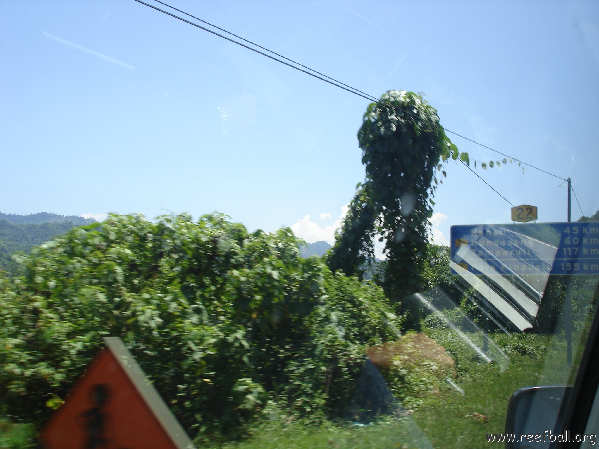 Road trip Sandakan - Kota Kinabalu (210)