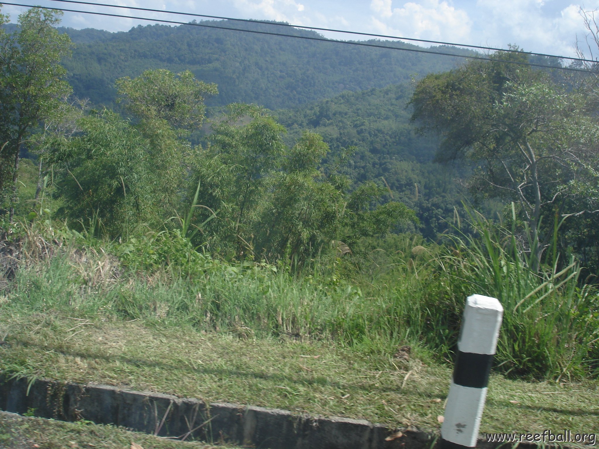 Road trip Sandakan - Kota Kinabalu (218)