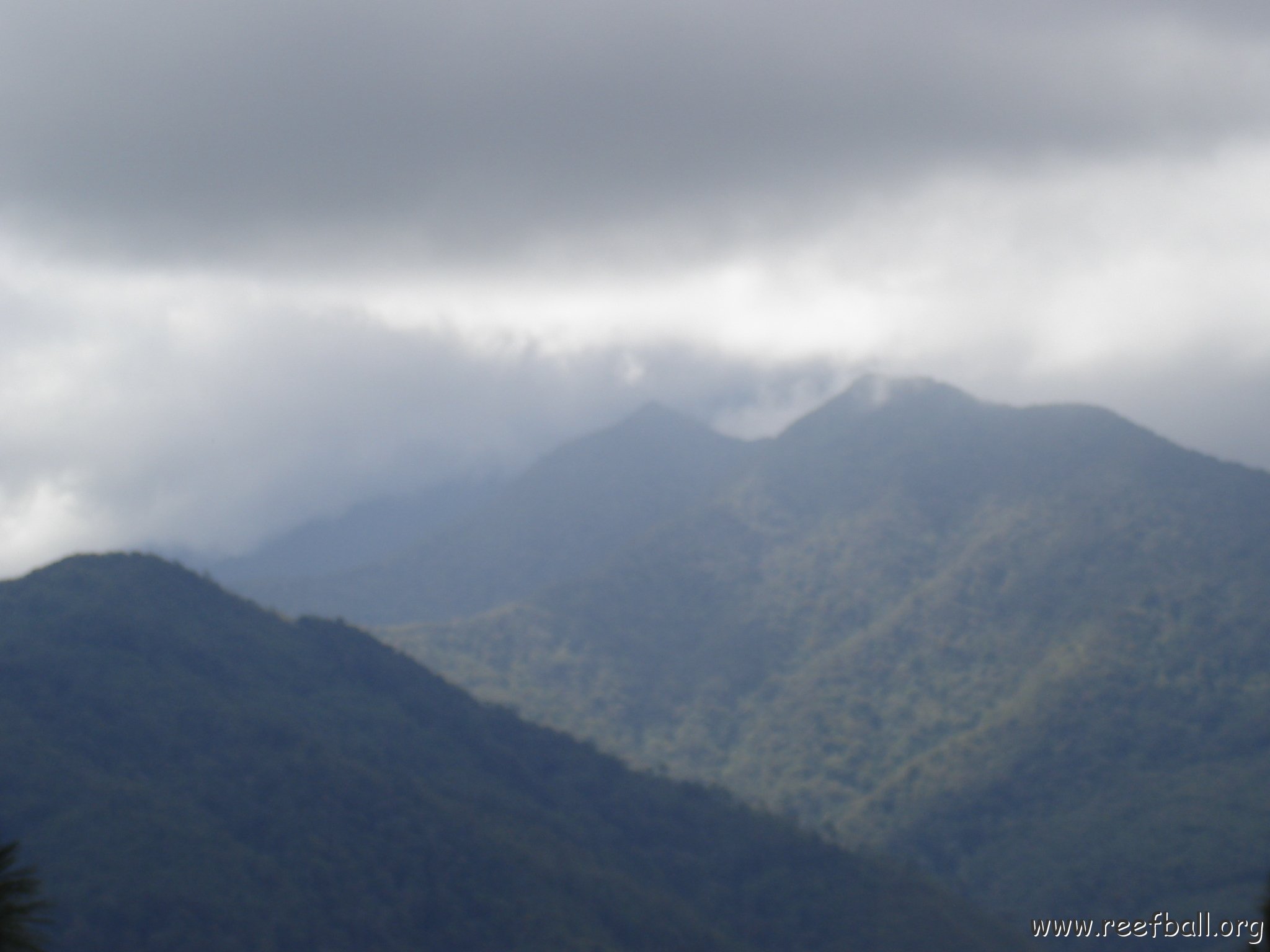 Road trip Sandakan - Kota Kinabalu (261)