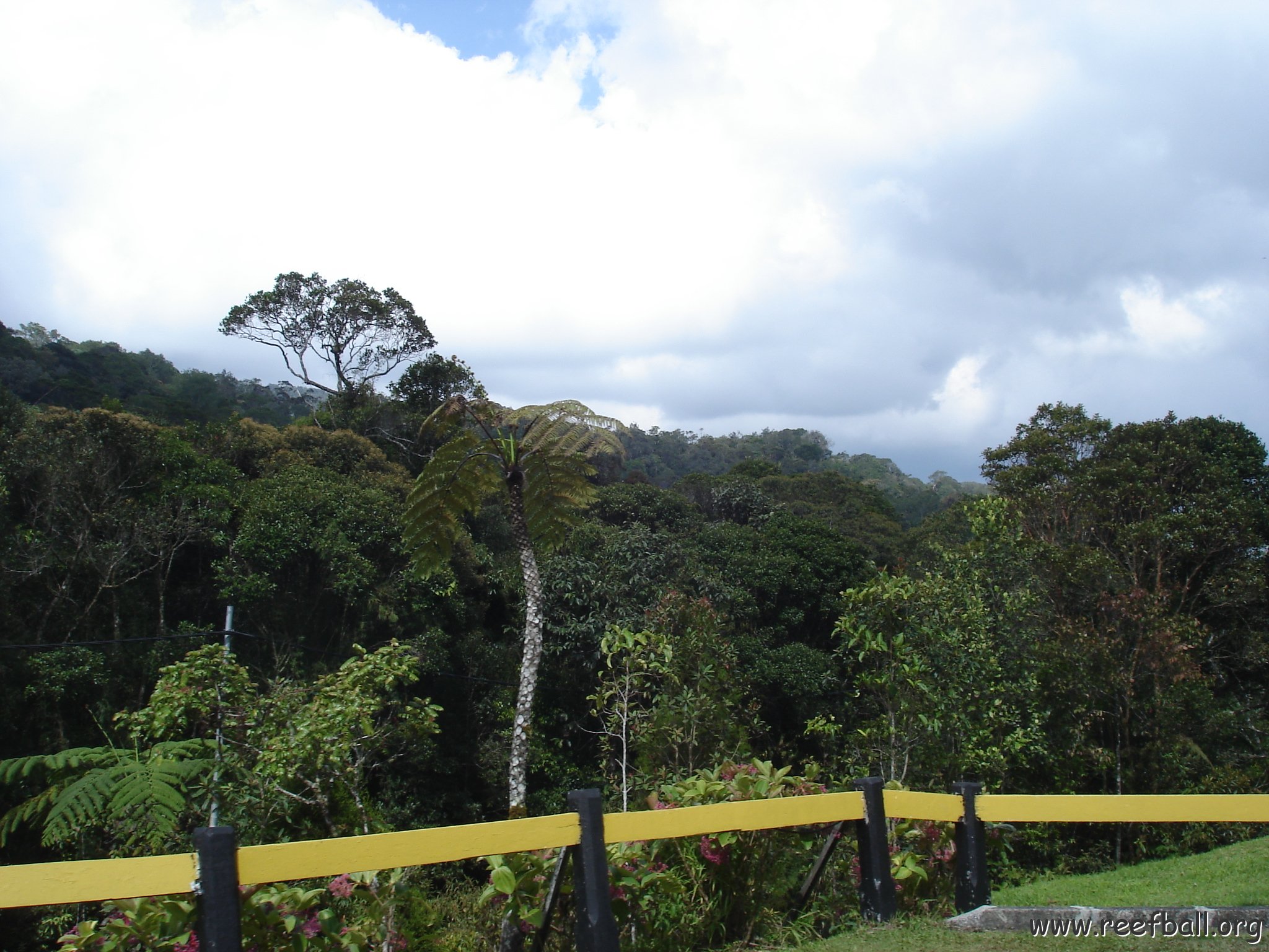 Road trip Sandakan - Kota Kinabalu (296)