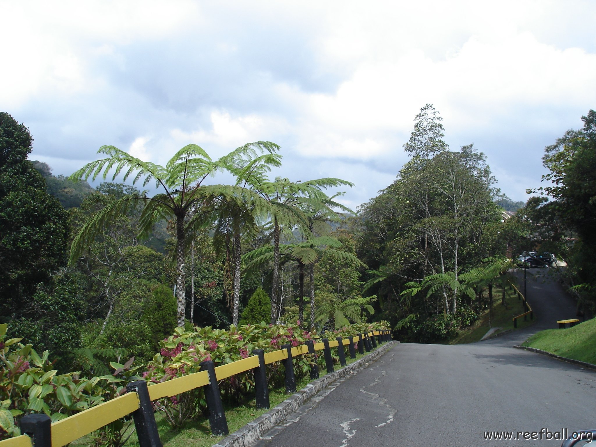 Road trip Sandakan - Kota Kinabalu (297)