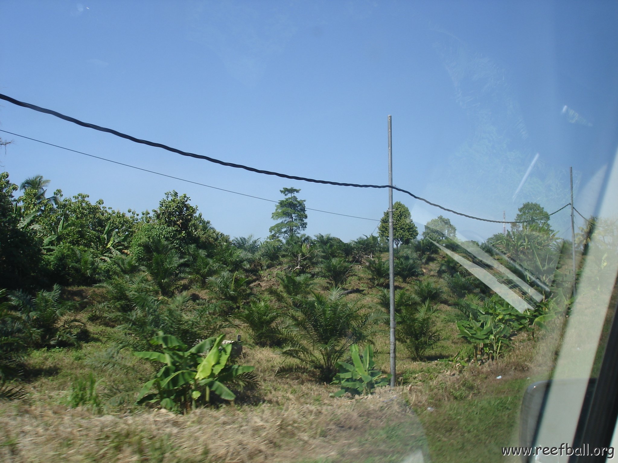 Road trip Sandakan - Kota Kinabalu (3)