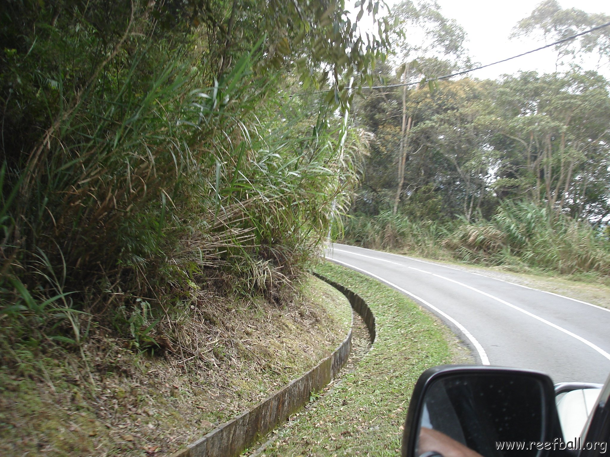 Road trip Sandakan - Kota Kinabalu (301)