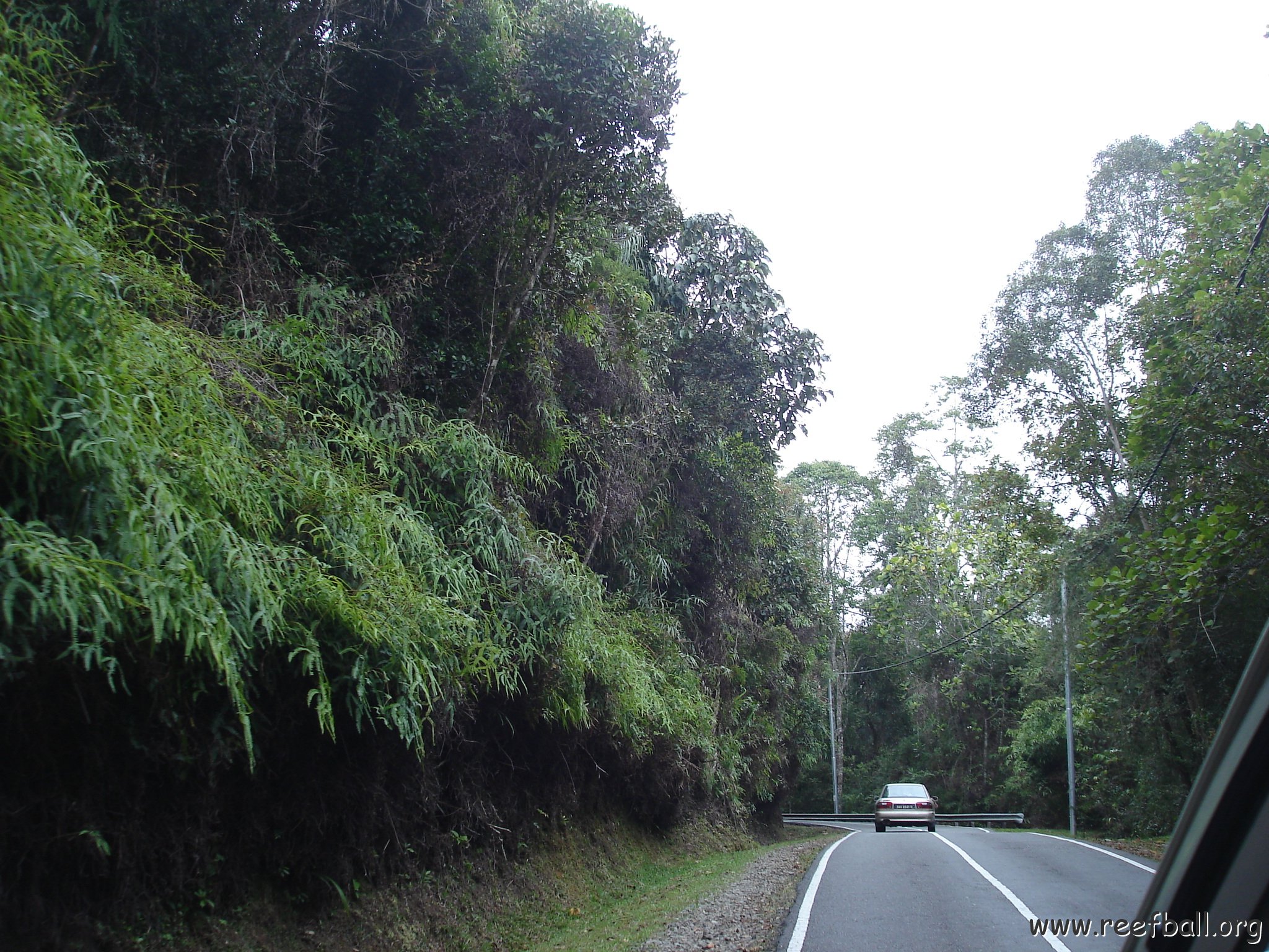 Road trip Sandakan - Kota Kinabalu (303)