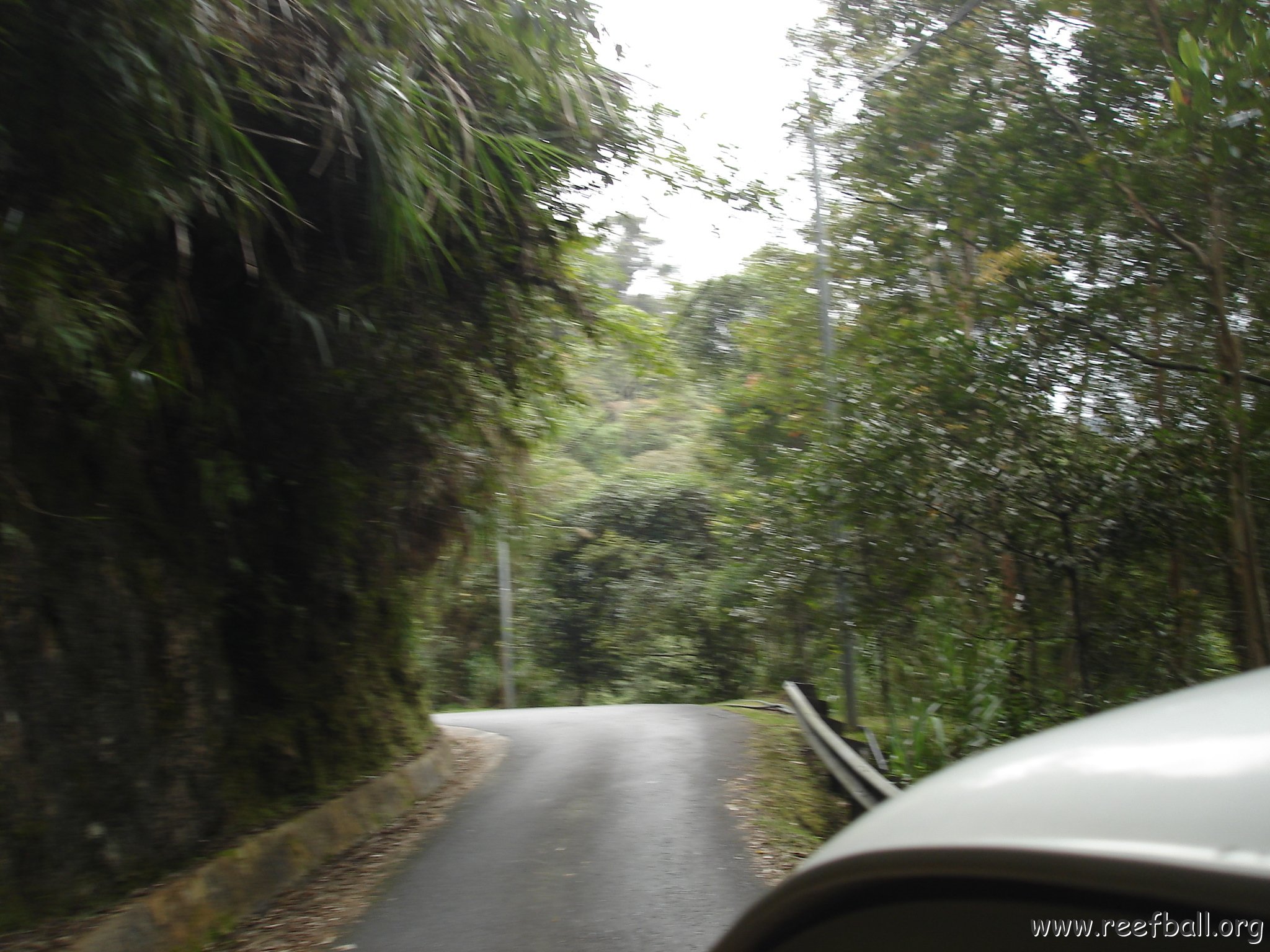 Road trip Sandakan - Kota Kinabalu (308)
