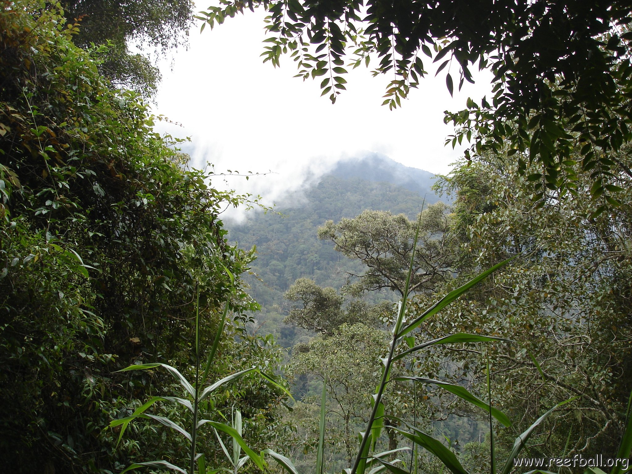 Road trip Sandakan - Kota Kinabalu (318)