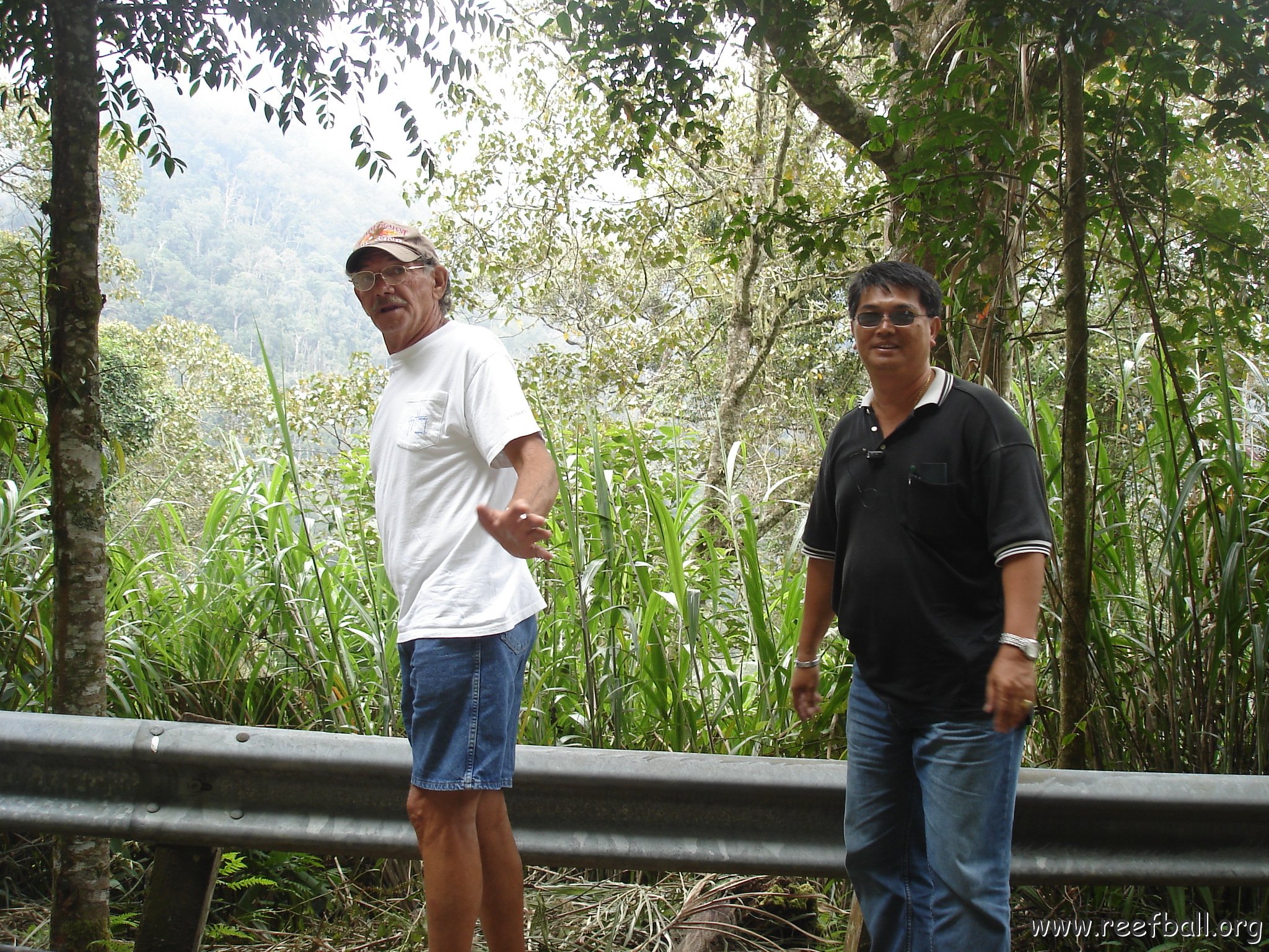 Road trip Sandakan - Kota Kinabalu (321)