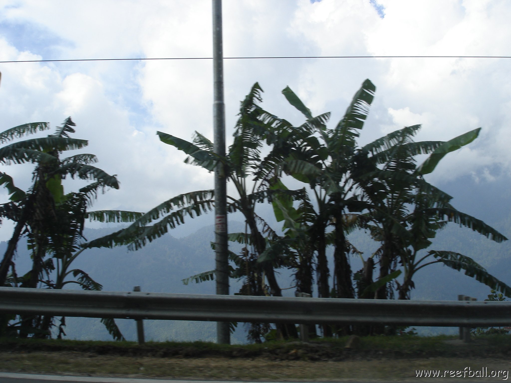 Road trip Sandakan - Kota Kinabalu (336)