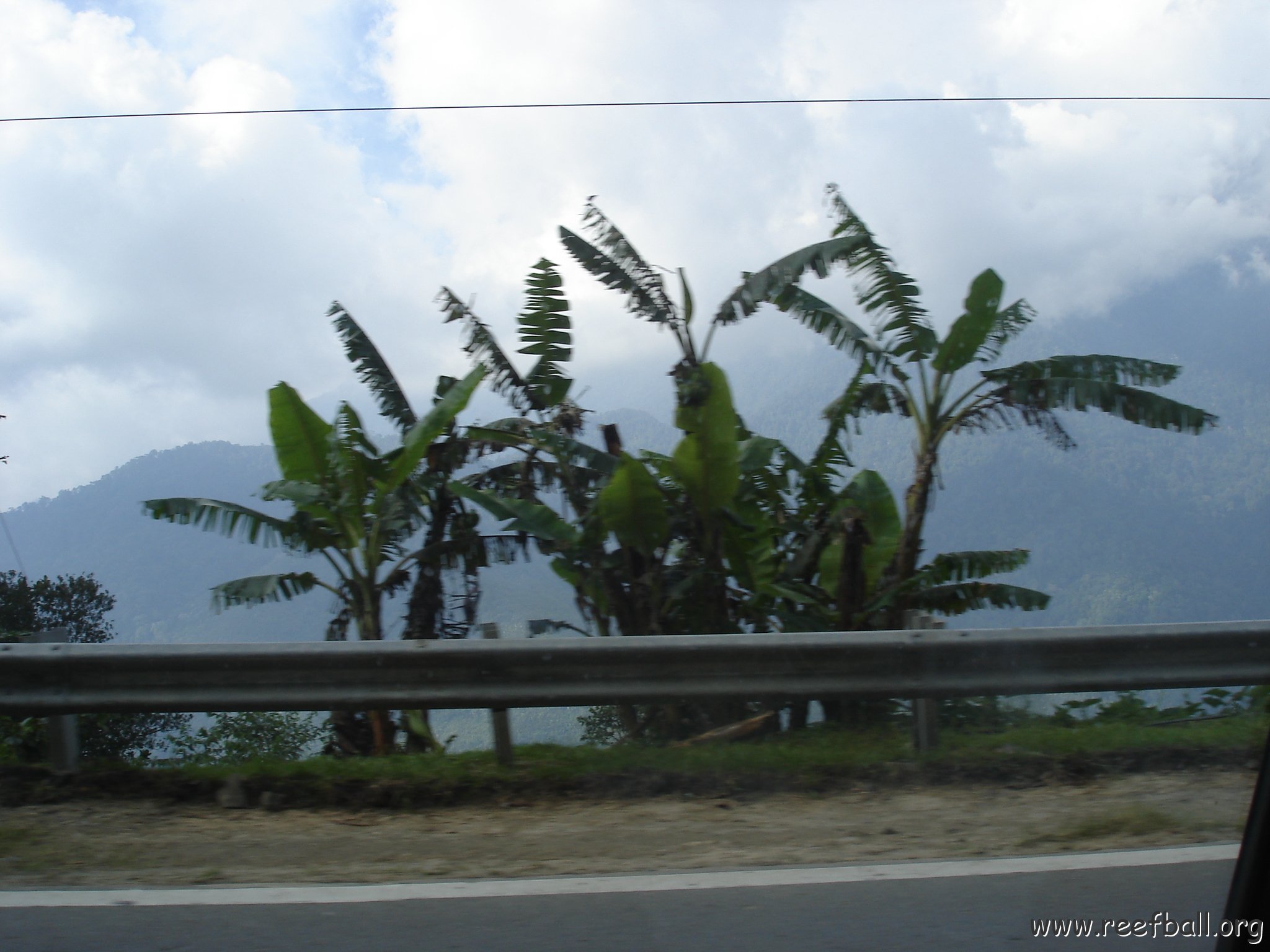 Road trip Sandakan - Kota Kinabalu (337)