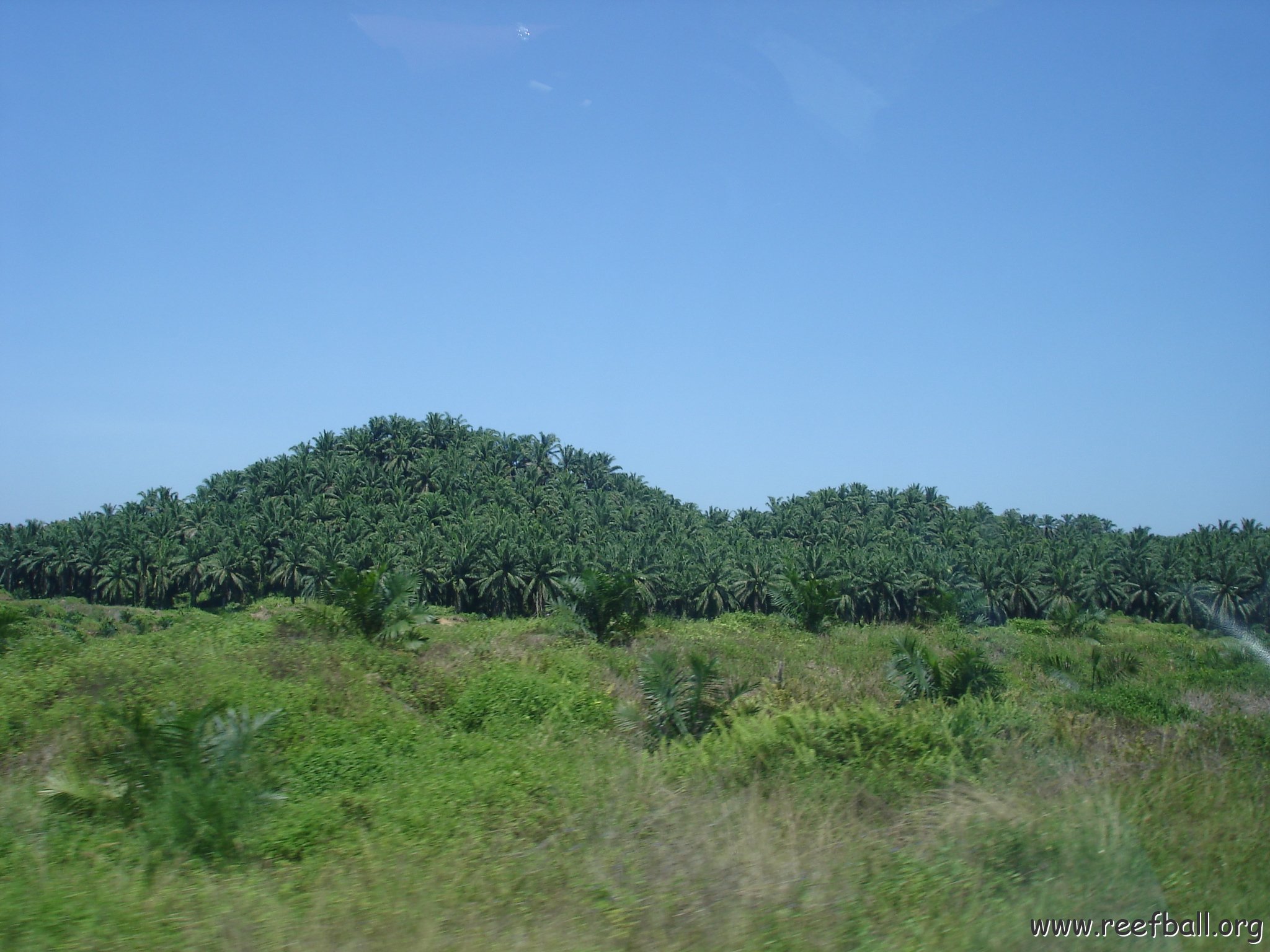 Road trip Sandakan - Kota Kinabalu (46)