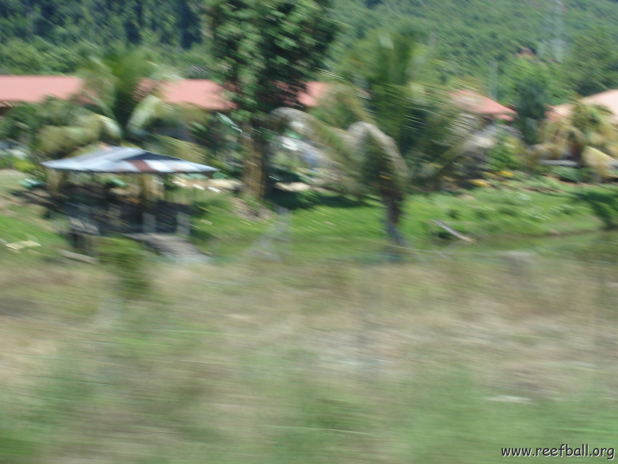 Road trip Sandakan - Kota Kinabalu (66)