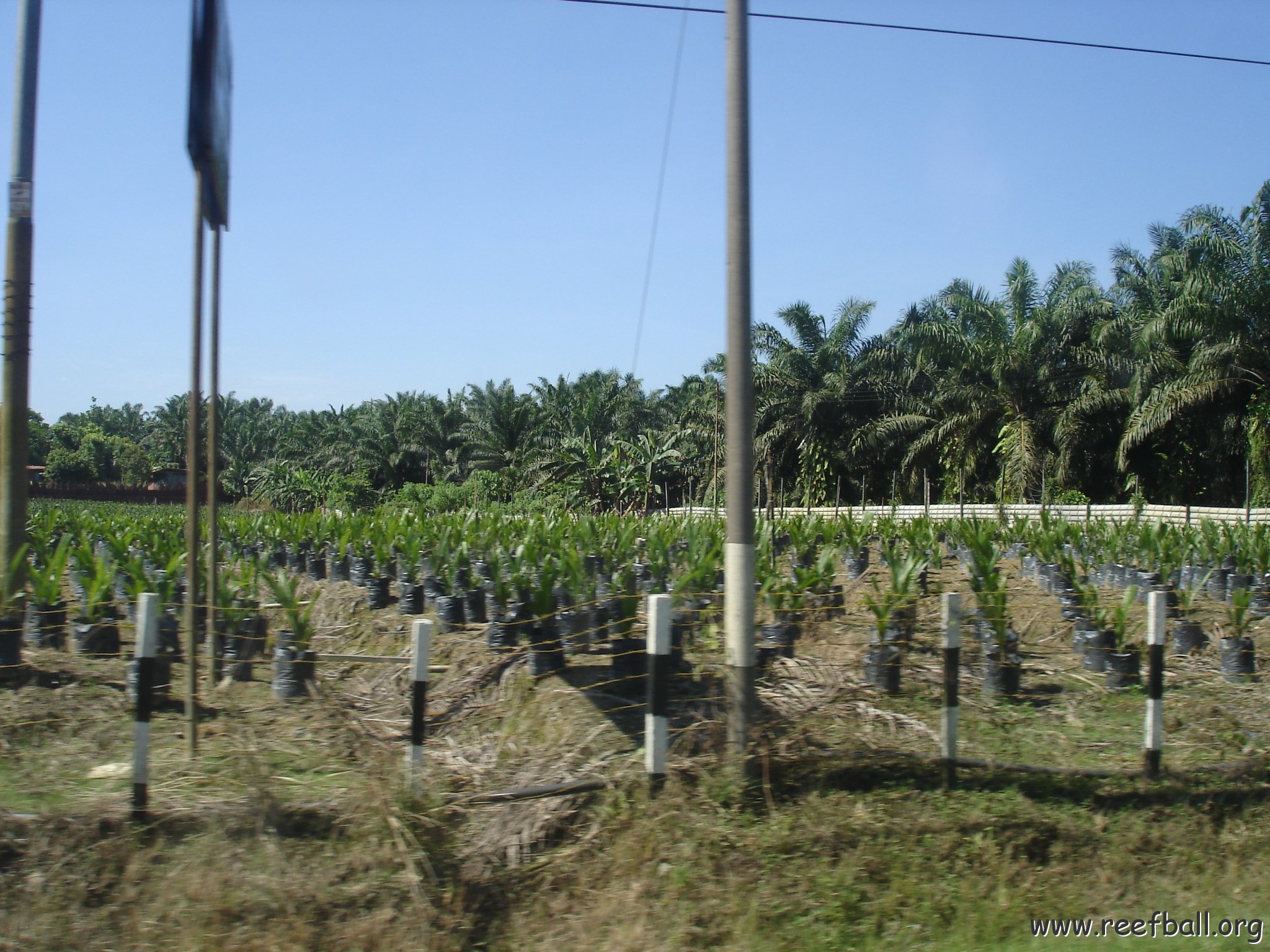 Road trip Sandakan - Kota Kinabalu