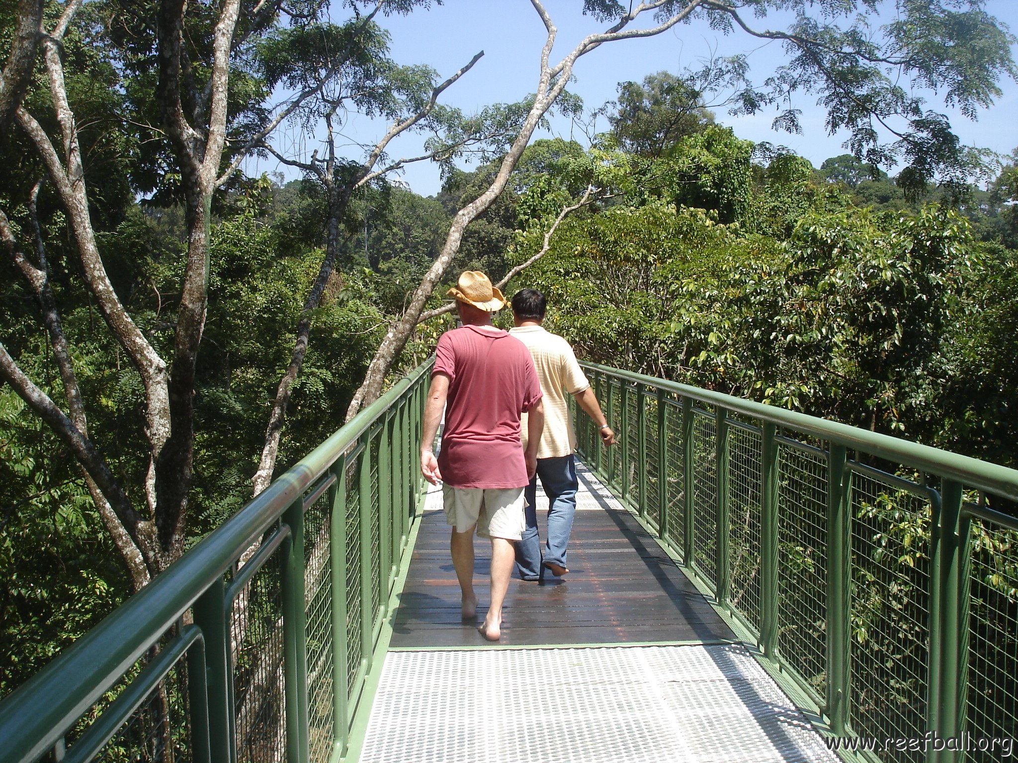 nature discovery center (25)