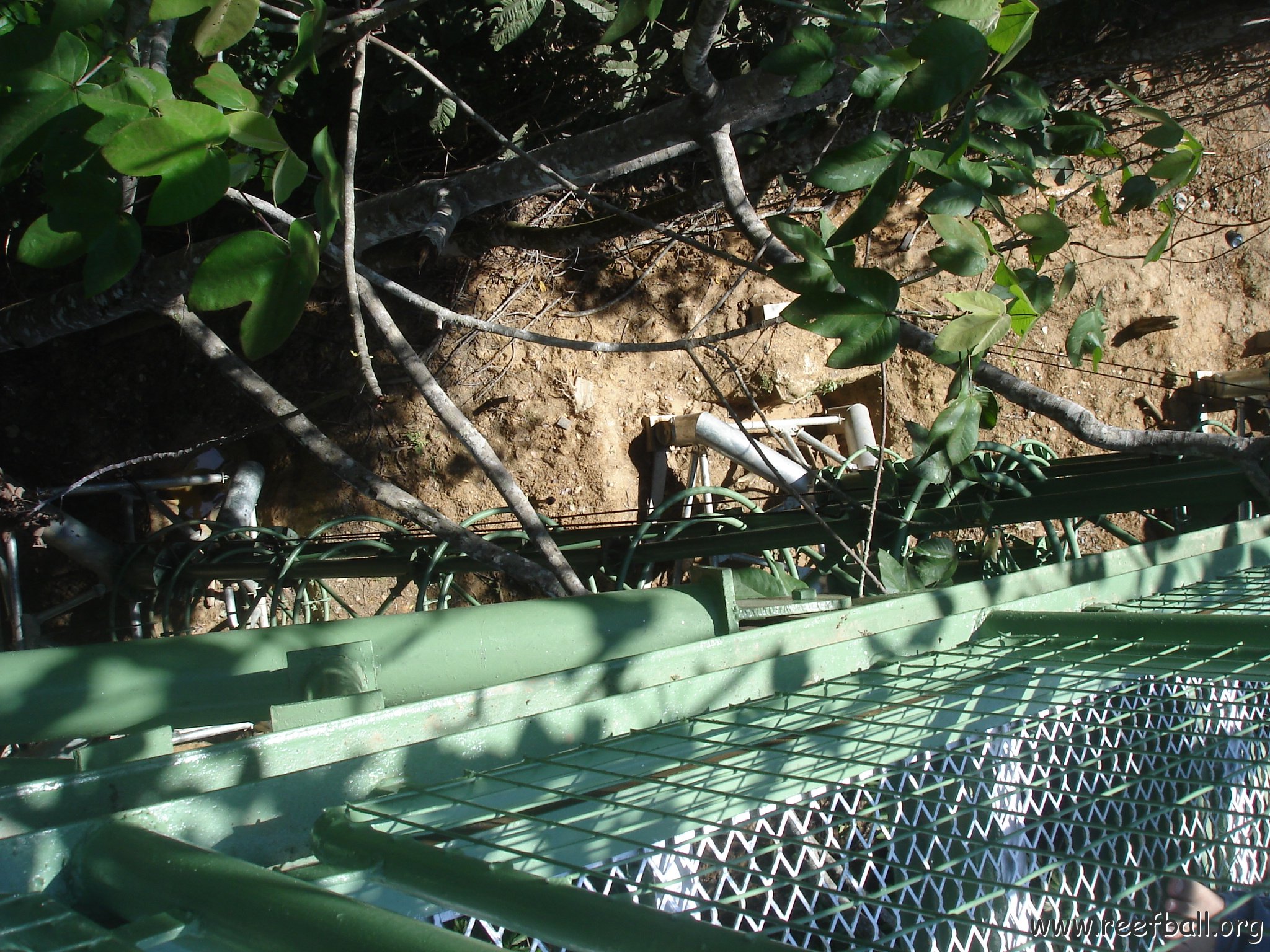 nature discovery center (33)