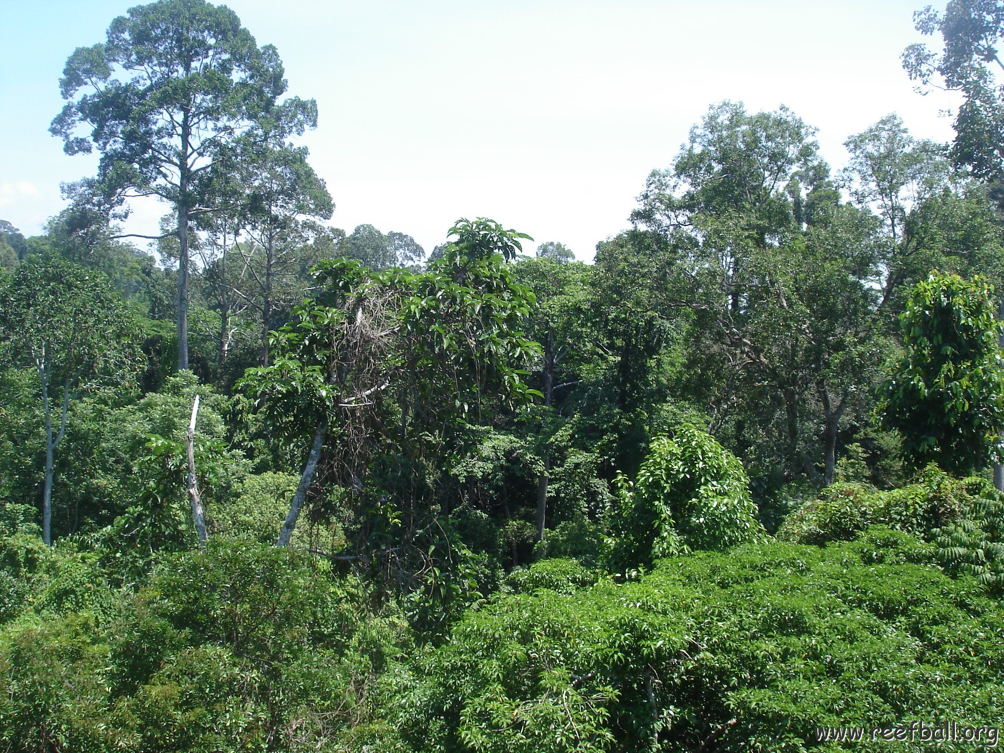 nature discovery center (42)