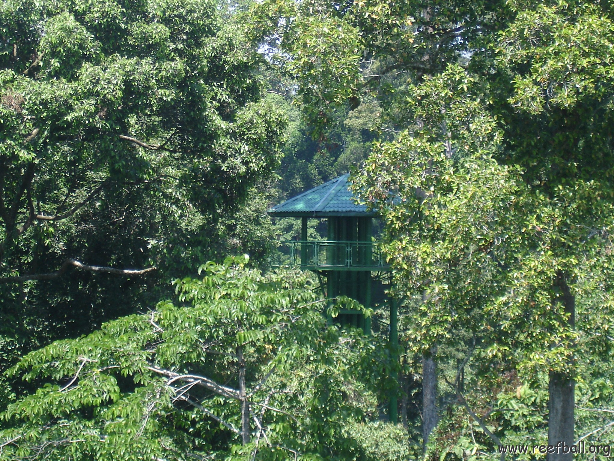 nature discovery center (45)