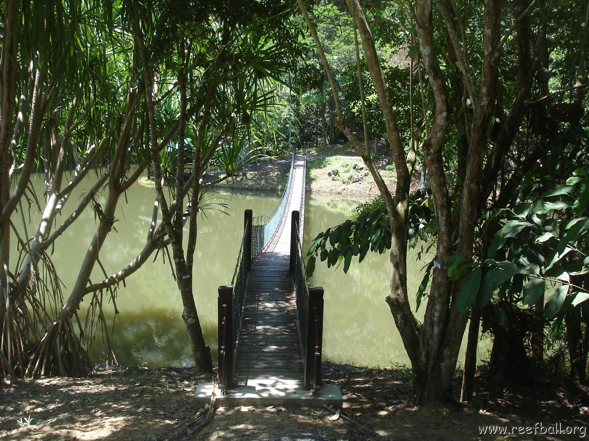 nature discovery center (64)