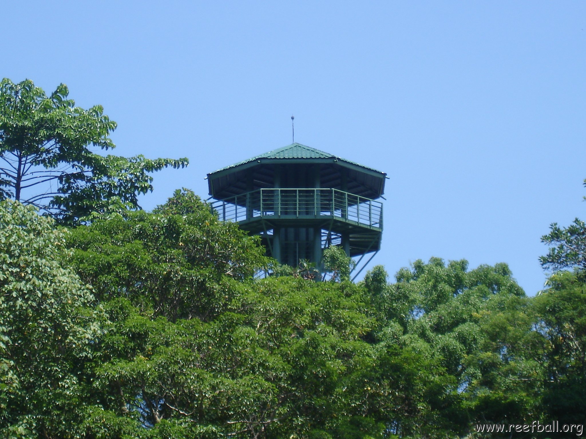 nature discovery center (77)