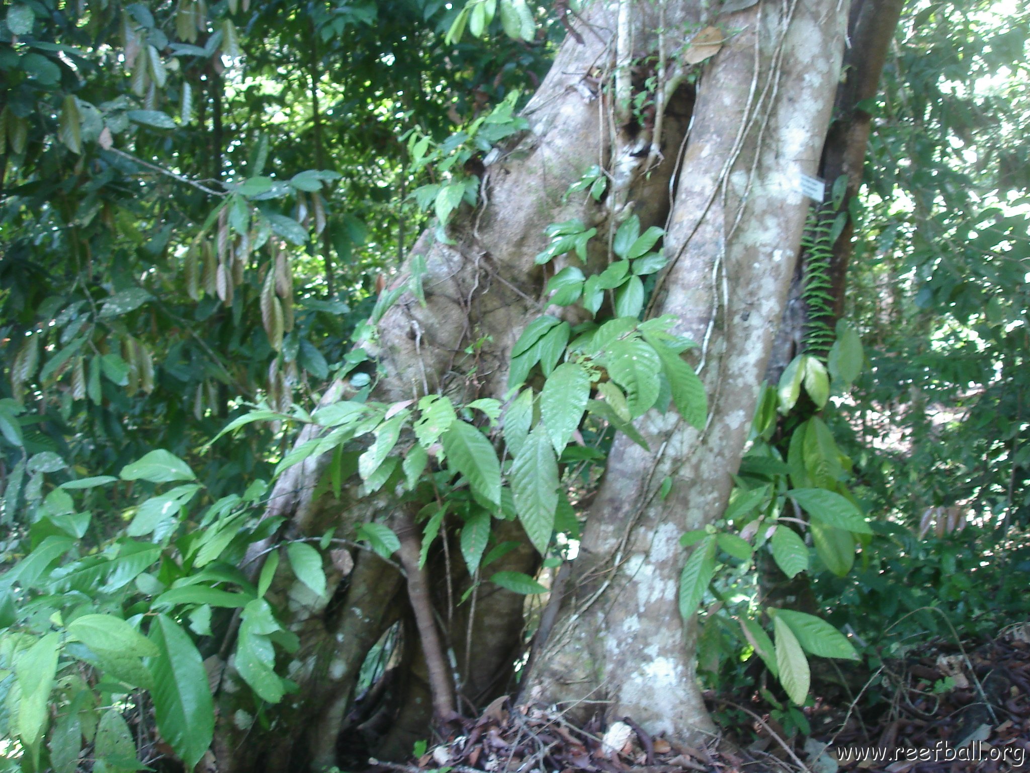 nature discovery center (79)