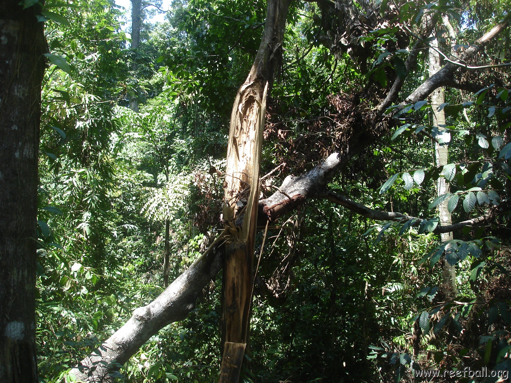 nature discovery center (82)