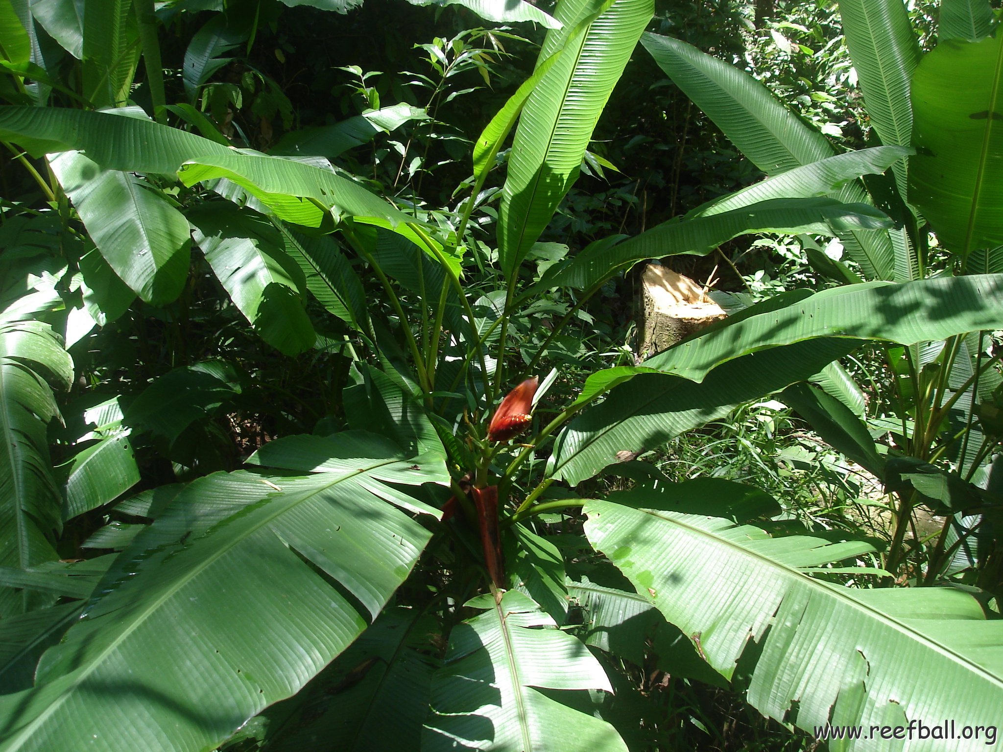 nature discovery center (84)