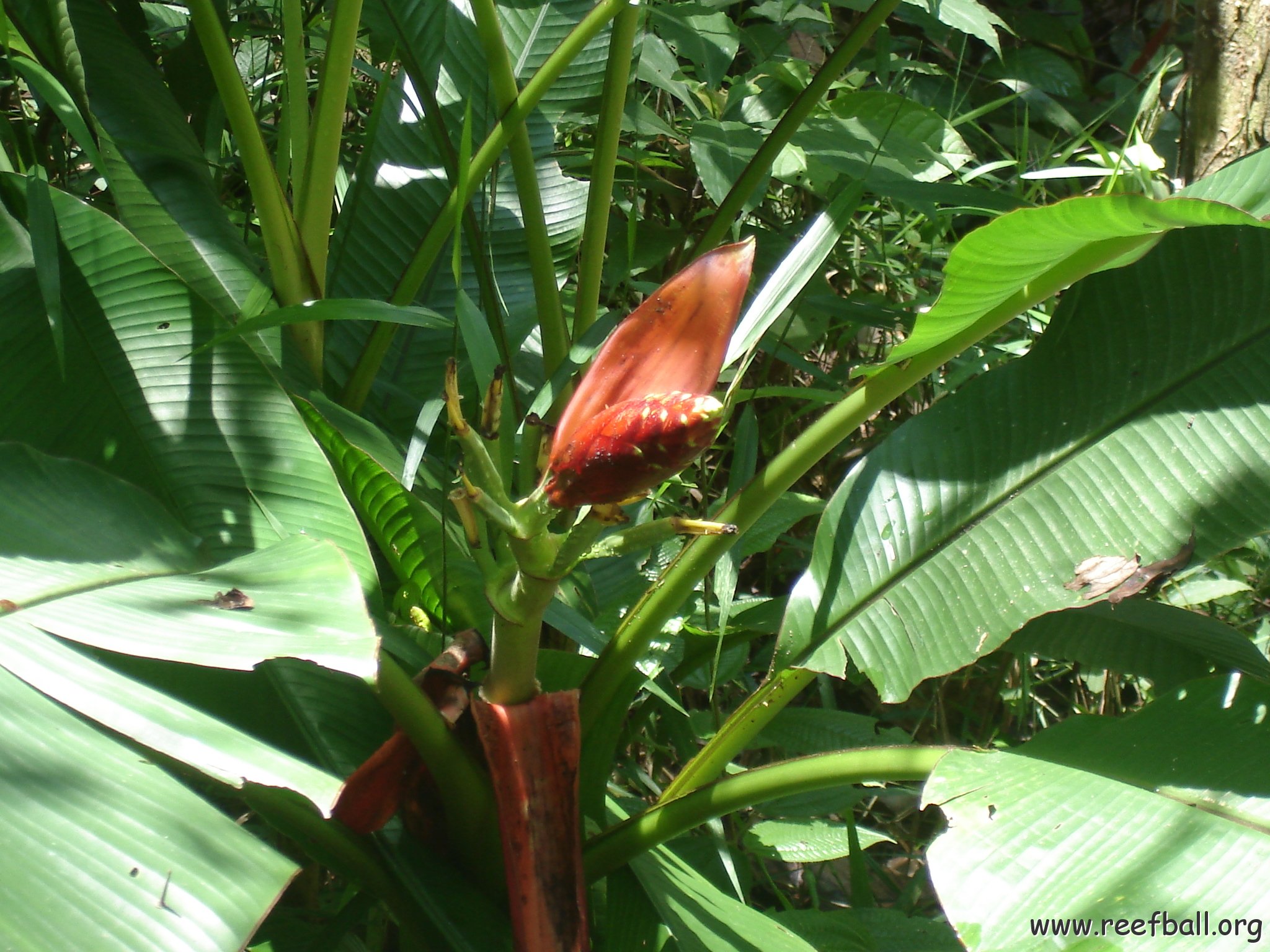 nature discovery center (85)